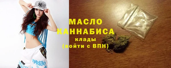 крисы Надым