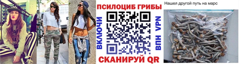 Купить где  Жуков  Галлюциногенные грибы Magic Shrooms 